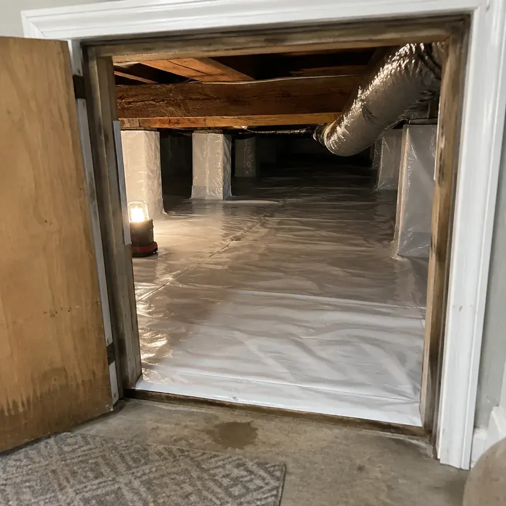 Crawl Space Sewage Cleanup service in Maple Grove, MN